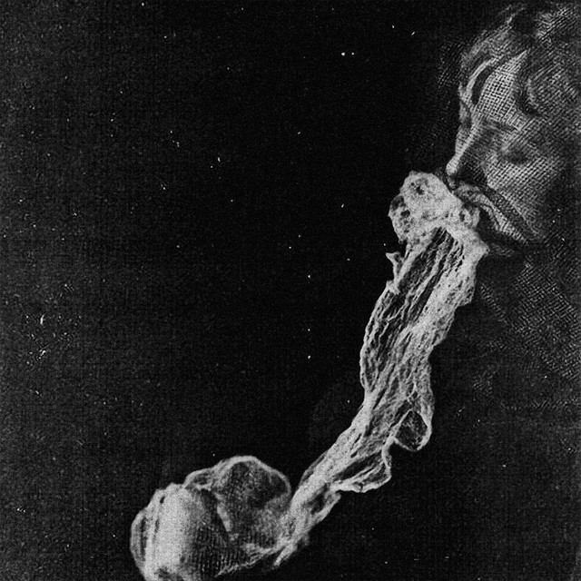The Enigma of Death