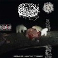 Anal Gutfuck - Depraved Lunacy At It's Finest (2023)