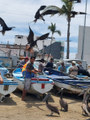 Memories of Mexico