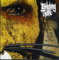 Split with The Jazz Intrusion