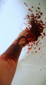 Almost Dead