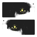 Everyone You Look Upto Will Betray You (Tracks)