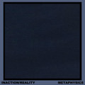 Inaction/Reality