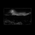 Beyond the Forest (Travels in the Night Land)