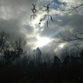 Solitude