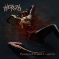 Decomposed Beyond Recognition