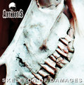 SKELETON OF DAMAGES