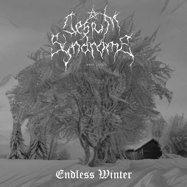 Endless Winter