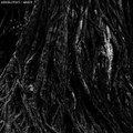 Split 7" with Absolutist