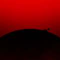 Darkness Follows