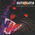 FEELINGS OF FURY