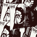 In Carnation (EP)