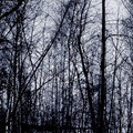 Syndrom Cotarda (reissue)
