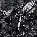 Erosion/Altered Dead Split