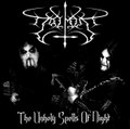 The Unholy Spells of Night