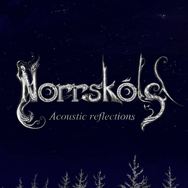 Acoustic Reflections