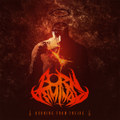 Burning From Inside