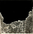 House of Leaves EP