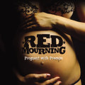 PREGNANT WITH PROMISE (2011)