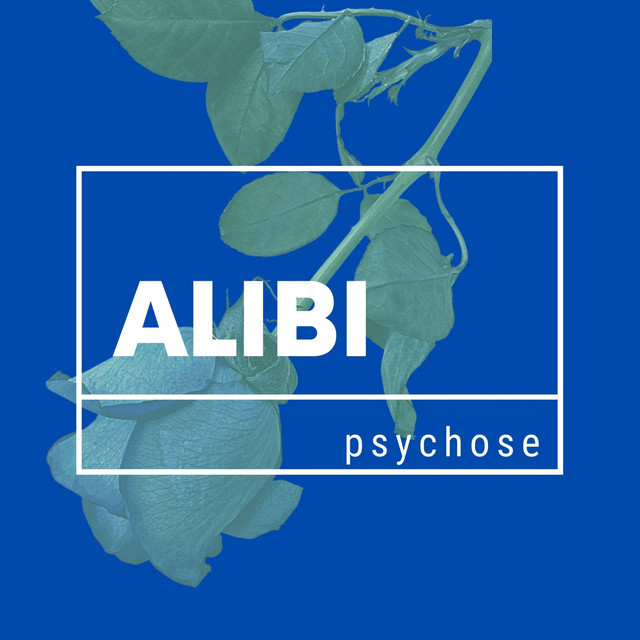 Alibi