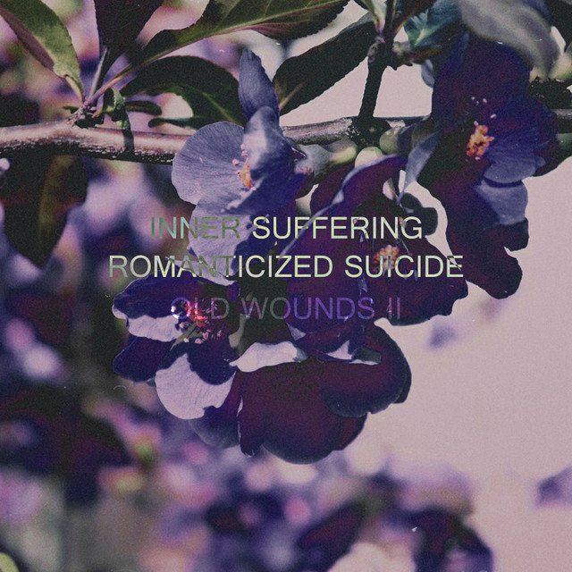 Old Wounds II: Romanticized Suicide