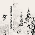 Conifers // Vereist — Enshrouded by majestic snow