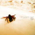 Soft & Deadly (2008-2011 Demos)