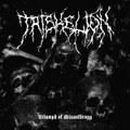Triumph of Misanthropy
