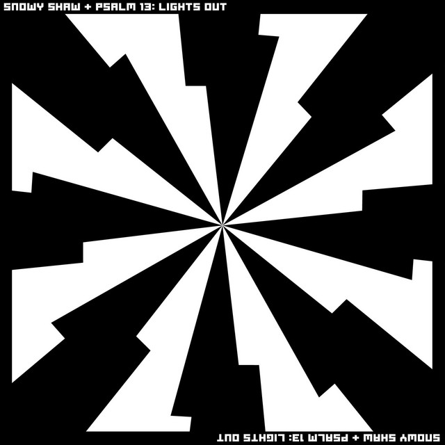 Psalm 13: Lights Out (Bonus Track from "White Is The New Black", the physical album) [remix]