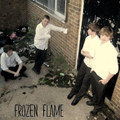 Frozen Flame