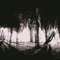 Dead Girls Rising