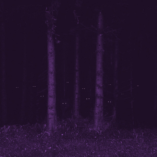 Clandestine Futures & Shallow Graves