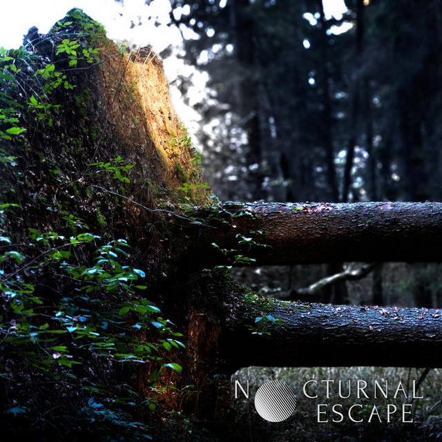 Nocturnal Escape