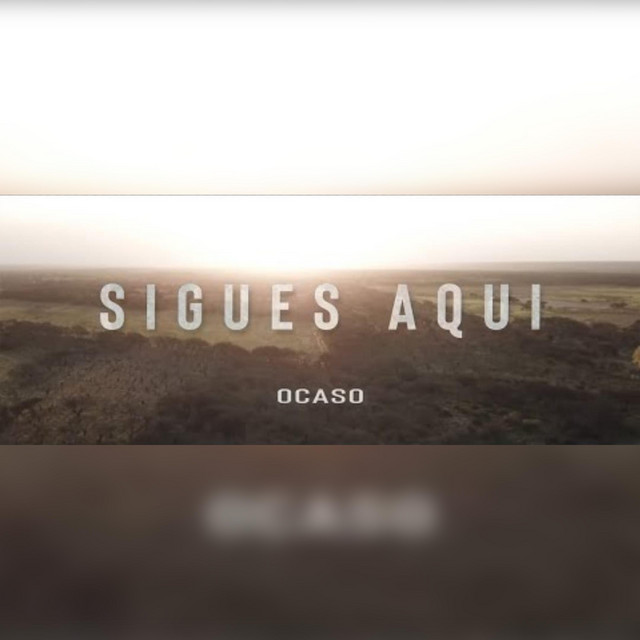 Sigues aquí