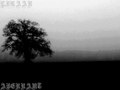 Aberrant (Single)