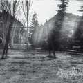 Looking back to the past