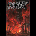 Din-Addict / Schism split Ep