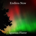 Endless Now