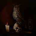 Split Blackowl / SBT
