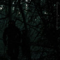 Impermanence / Cicada 3301