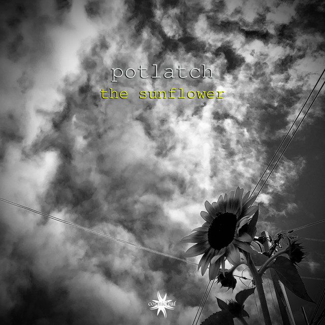 The Sunflower