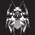 S/T