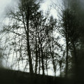 Autumn(Single)