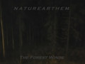 The Forest Winds