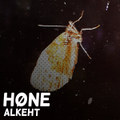 Høne