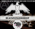 When The BlackSheep Become Vulture