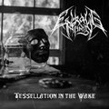 Tessellation in the Wake 2017