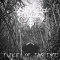 Futility of Existence