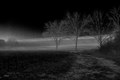 Samhain