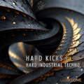 DARKTONE - HARD KICKS 1 : HARD INDUSTRIAL TECHNO Sample Pack